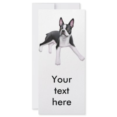 Boston Terrier Rack Card by twopurringcats