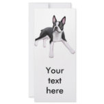 Boston Terrier Rack Card rack cards