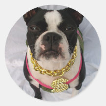 Boston Terrier Rapper Stickers
