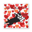 Boston Terrier & Red Heart Cartoon magnets