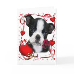 Boston Terrier Rose For ther Card