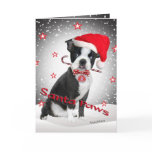 Boston Terrier Santa Paws cards