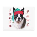 Boston Terrier Santa Paws Post Card