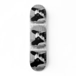 Boston Terrier Skateboard