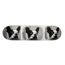 Boston Terrier Skateboard