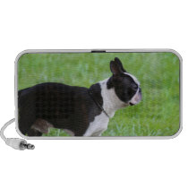 Boston Terrier Ipod Speaker