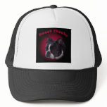 Boston Terrier:  Sweet Cheeks Hat