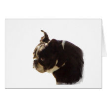 Boston Terrier:  Sweet Profile Cards