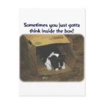 Boston Terrier:  Think Inside the Box Postcard
