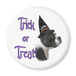 Boston Terrier Trick Fridge Magnets
