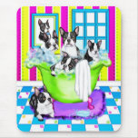 Boston Terrier Tub Full