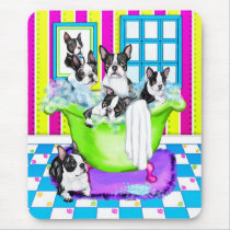 Boston Terrier Tub Full