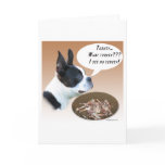 Boston Terrier Turkey Greeting Cards