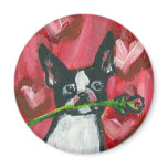 Boston Terrier Valentine Rose Magnets