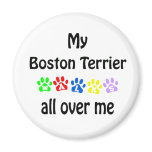 Boston Terrier Walks Design Refrigerator Magnets