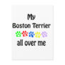 Boston Terrier Walks Design Post Card