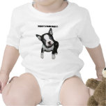 Boston Terrier:  Who's Your Baby? Baby Creeper