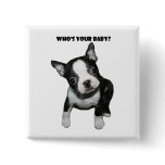 Boston Terrier:  Who's Your Baby? Button