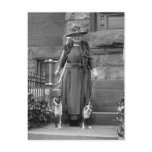Boston Terriers & 1920s Fashion postcards