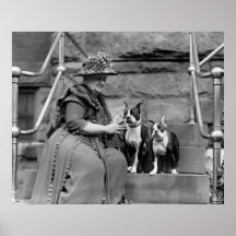 Boston Terriers, 1920s Print