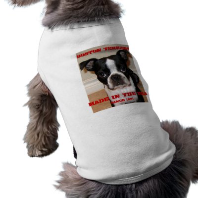 Boston Terriers Pet T-shirt by vfeller