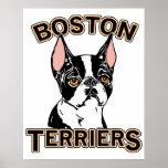 Boston Terriers Mascot Posters