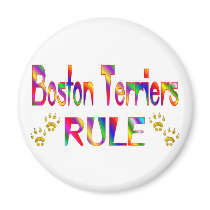 Boston Terriers Rule Fridge Magnet