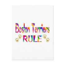 Boston Terriers Rule Postcards