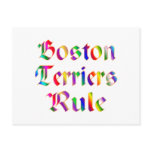 Boston Terriers Rule Postcards