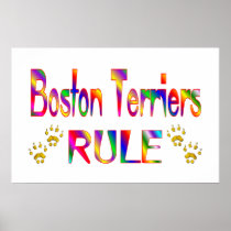 Boston Terriers Rule Poster