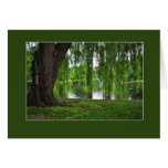 Boston Tree Card