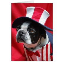 Boston Uncle Sam Card