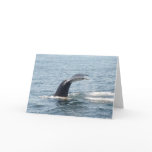 Boston Whale Notecard