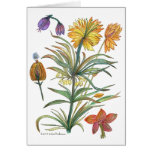 Botanical 52 flower card