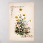 Botanical Engravings, April Print