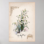 Botanical Engravings, January