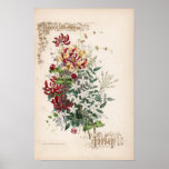 Botanical Engravings, July posters