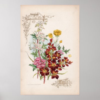 Botanical Engravings, May by woodylanefarm
