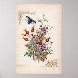 Botanical Engravings, November posters