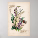 Botanical Engravings, October