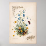 Botanical Engravings, September Posters