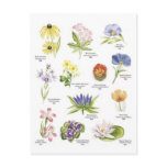 Botanical flower illustrations postcards