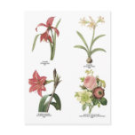 Botanical flower illustrations postcards