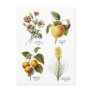 Botanical flower illustrations post card