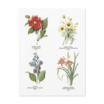 Botanical flower illustrations postcards