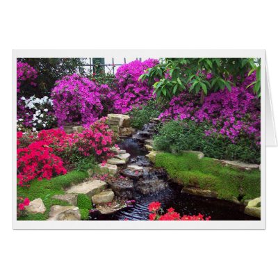 Botanical Garden Cards by rabbithilldesigns