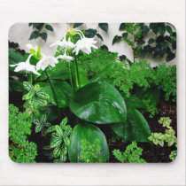 Botanical Garden with White Flowers Mousepad