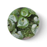 Botanical Gardens Button 2