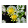 Botanical Gardens Cards