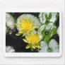 Botanical Gardens Mouse Pad